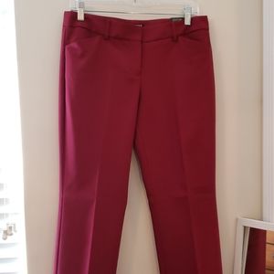 NWT Express Burgundy dress pant